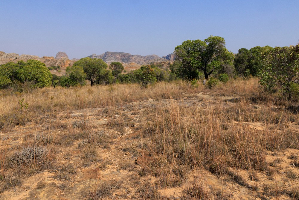 Isalo National Park