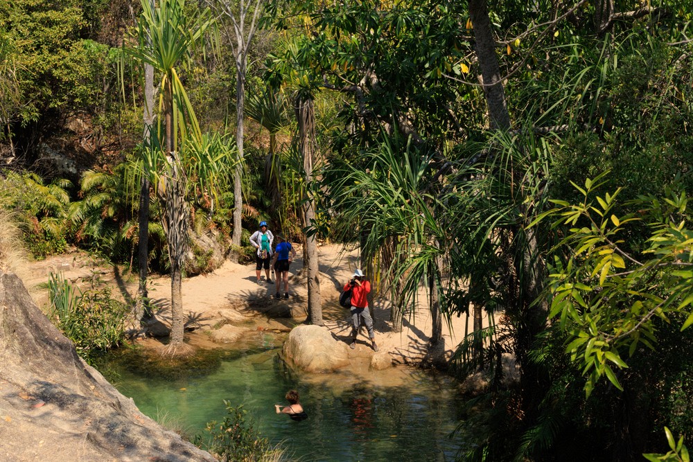 Piscine Naturelle