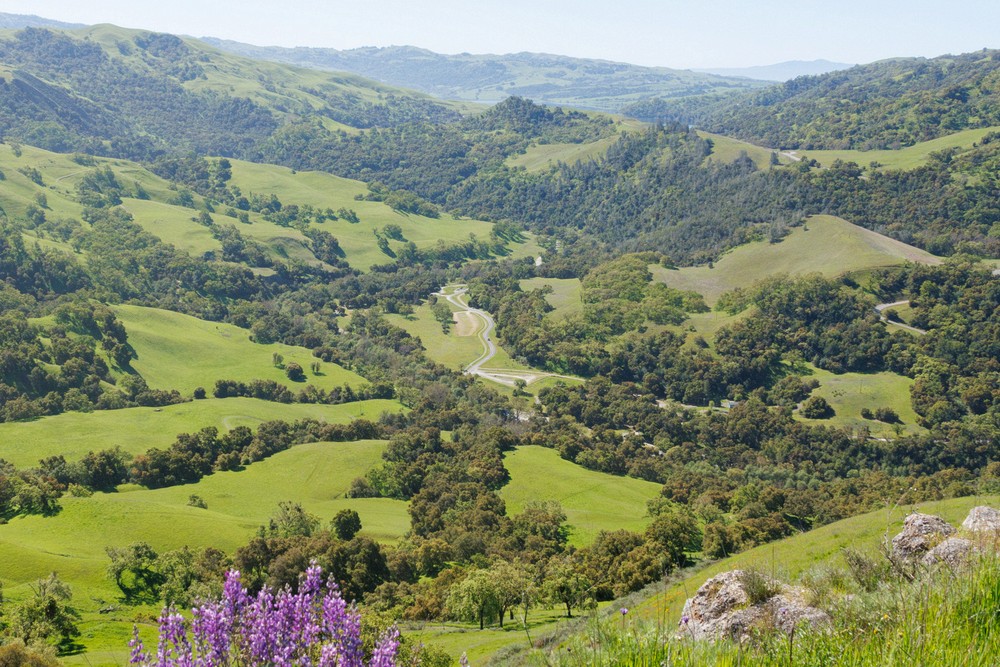 Calaveras Valley
