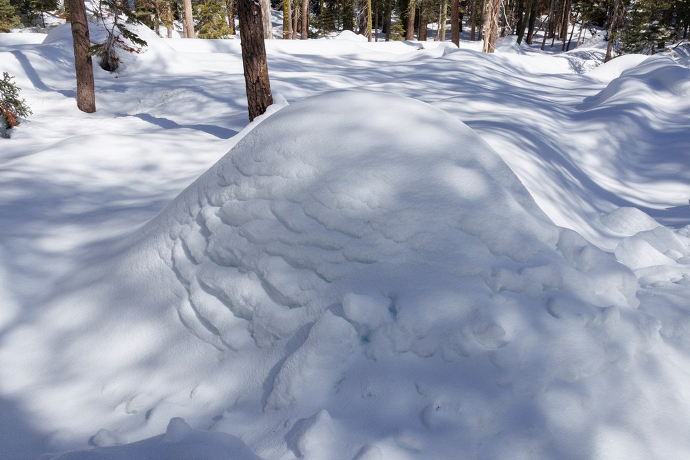 Snow covered stump