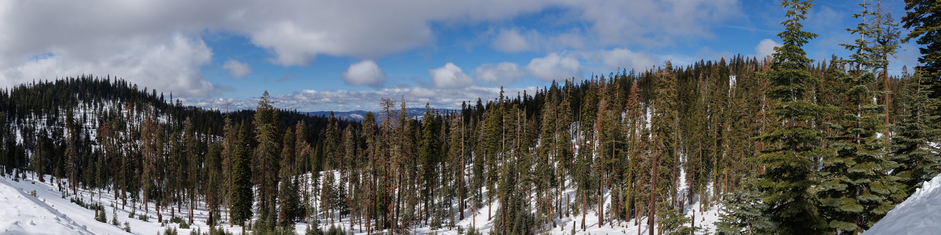 Panorama from Glacier Point Road