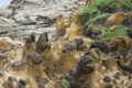 Heping Island Geopark