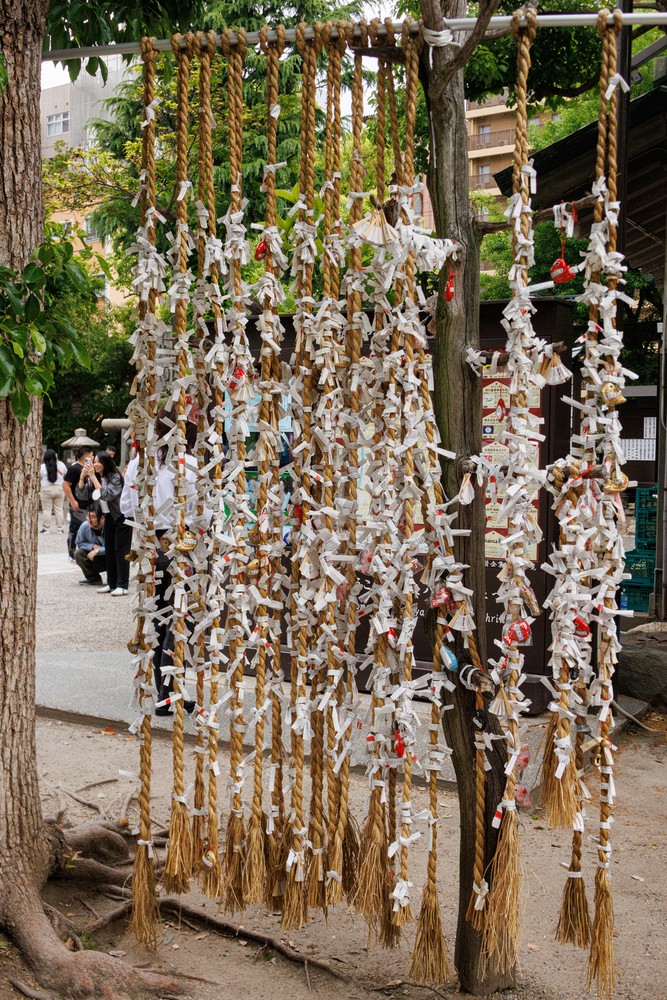 Namba Yasaka Jinja