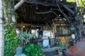Hashiori-toge Pass - May 12