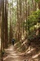 Kumano Kodo trail