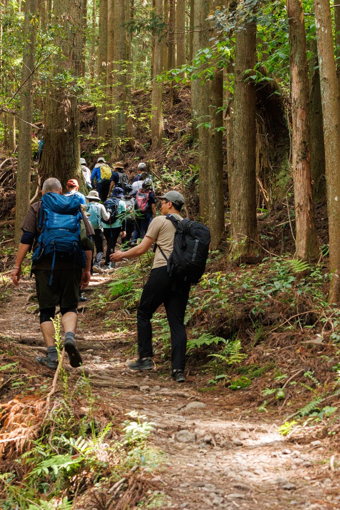 Kumano Kodo trail