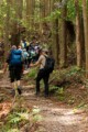 Kumano Kodo trail