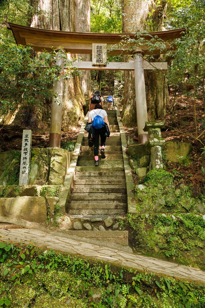 Tsugizakura-Oji