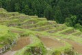 Maruyama Senmaida Rice Terraces
