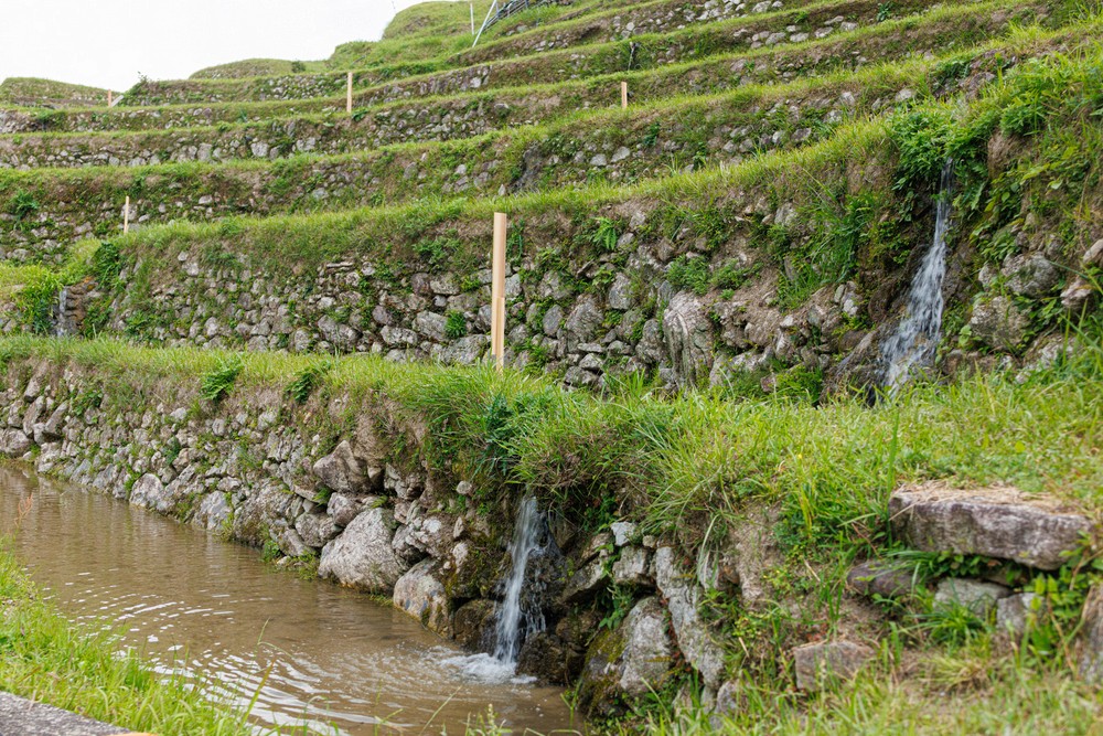 Maruyama Senmaida Rice Terraces