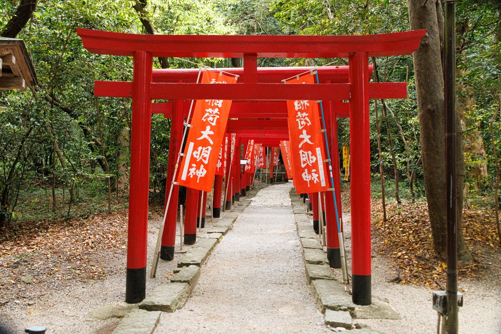 Tunnel of Torii Gates