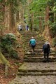 Daimonzaka toward Kumano Nachi Taisha