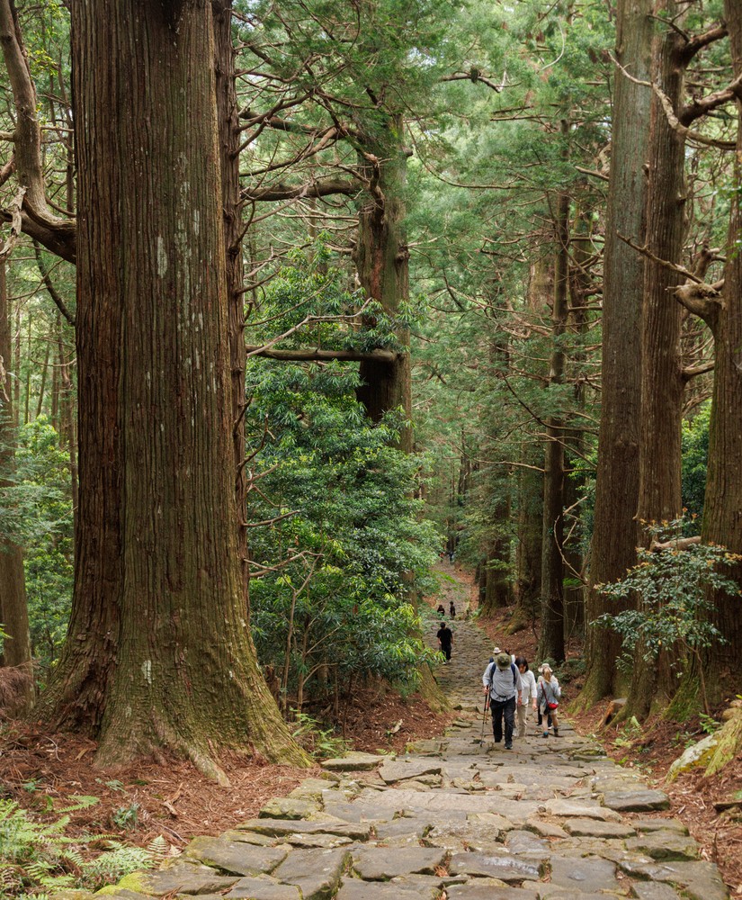 Daimonzaka toward Kumano Nachi Taisha