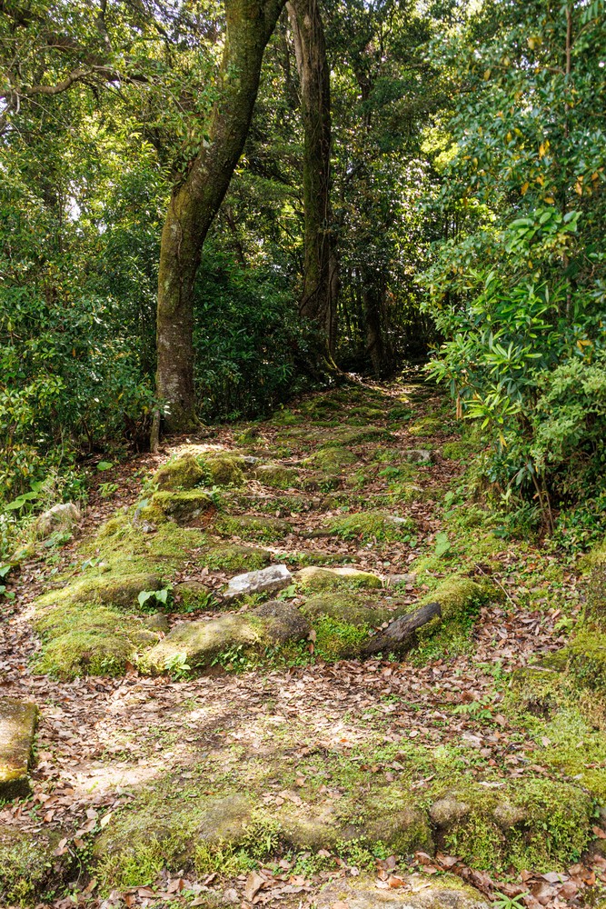 Kannon Michi trail