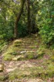 Kannon Michi trail
