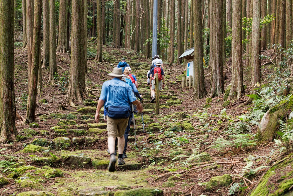 Kannon Michi trail
