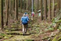 Kumano Kodo Iseji - May 16-17