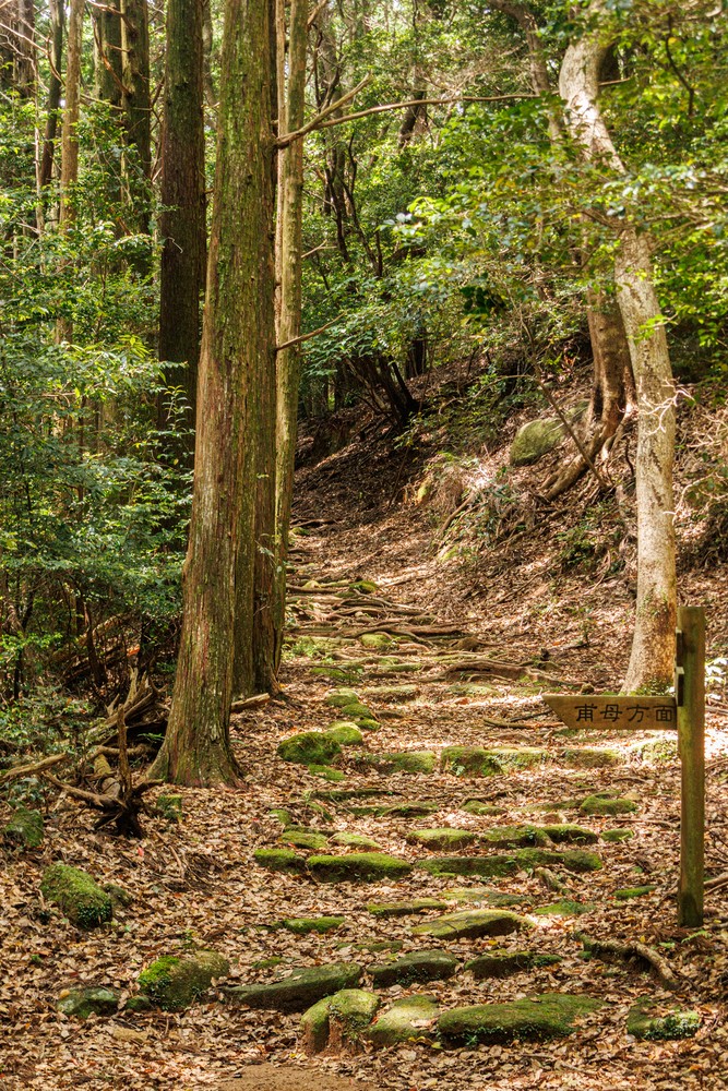 Kannon Michi trail