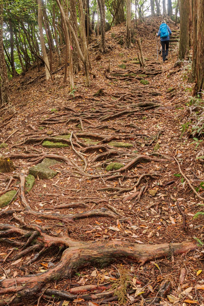 Kannon Michi trail