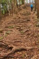 Kannon Michi trail