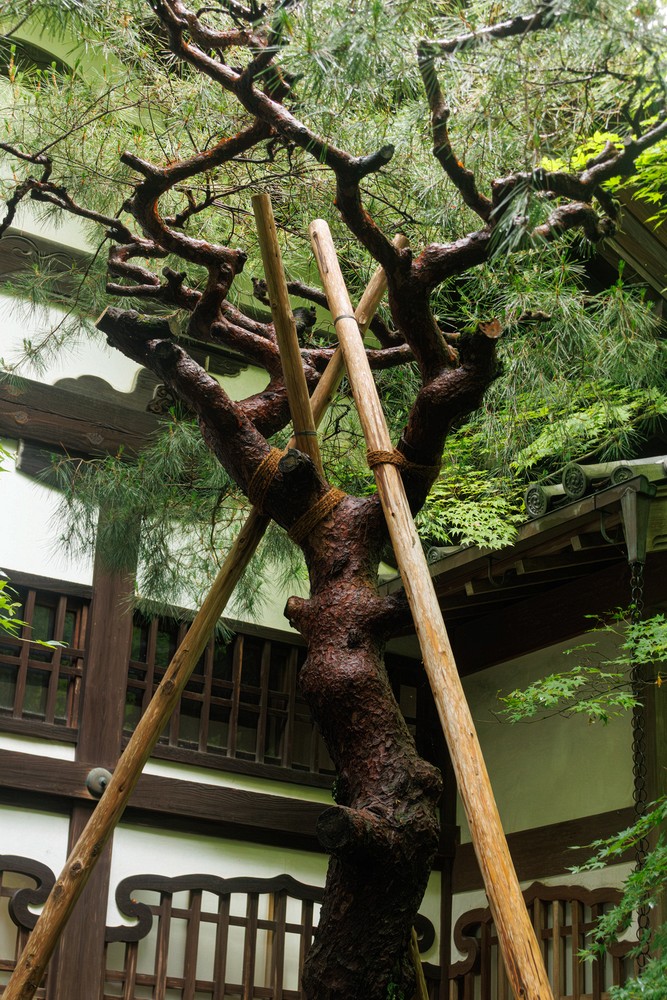 Ryoanji Goryonoshitacho