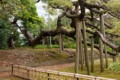 Hamarikyu Garden