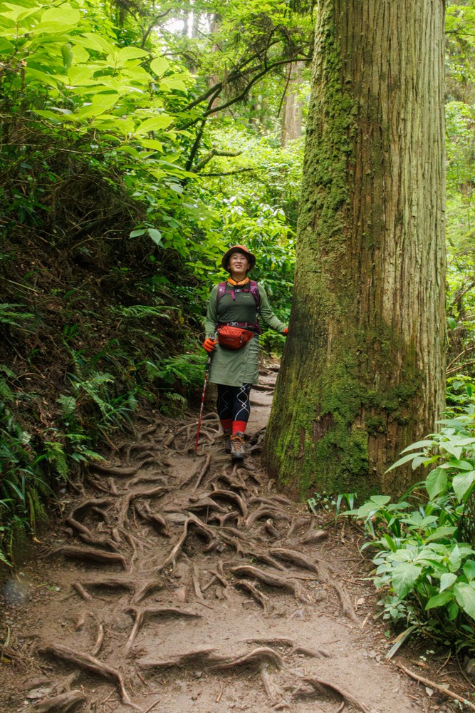 Mount Takao - Trail 6