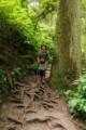 Mount Takao - Trail 6