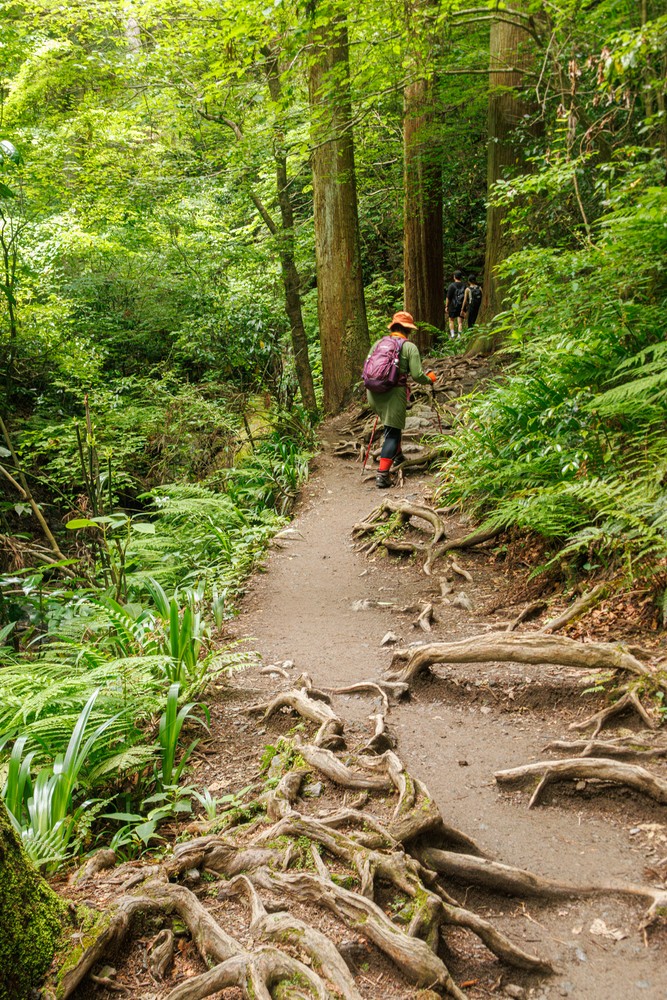 Mount Takao - Trail 6