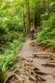 Mount Takao - Trail 6