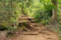 Mount Takao - Trail 1 (Inaryama Course)