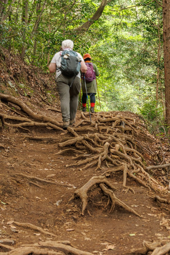 Mount Takao - Trail 1 (Inaryama Course)