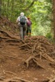 Mount Takao - Trail 1 (Inaryama Course)